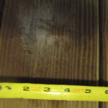 My second photo with a tape measure to show his size.