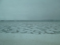 Ice chunks in the lake