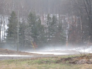 Fog slithering across the driveway