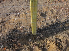 The fencing is in the trench.